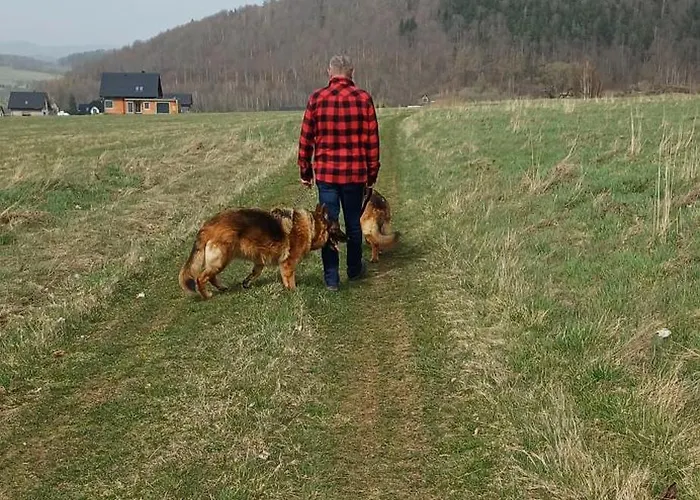 Ranczo U Jana Gospodarstwo agroturystyczne Stronie Śląskie
